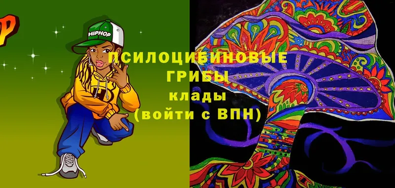 shop клад  Ардон  Галлюциногенные грибы Psilocybine cubensis 